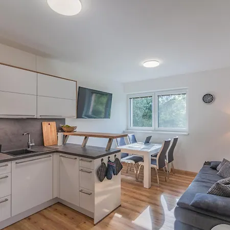 Apartman Cerna V Posumavi Apartment Cerna v Posumavi